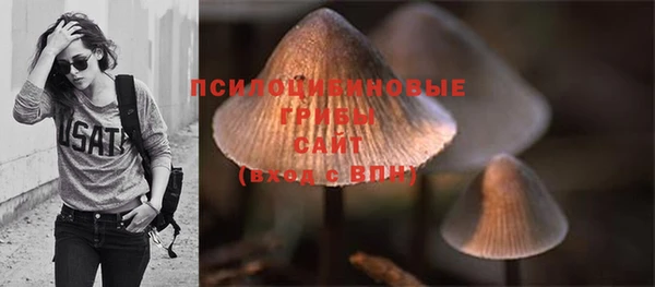 мяу мяу кристалл Елабуга
