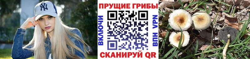 Купить где  Армавир  Галлюциногенные грибы мухоморы 